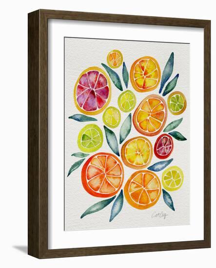 Citrus Slices-Cat Coquillette-Framed Giclee Print