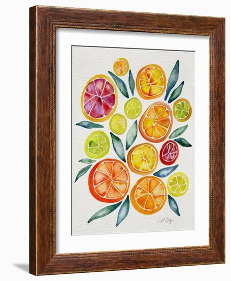 Citrus Slices-Cat Coquillette-Framed Giclee Print