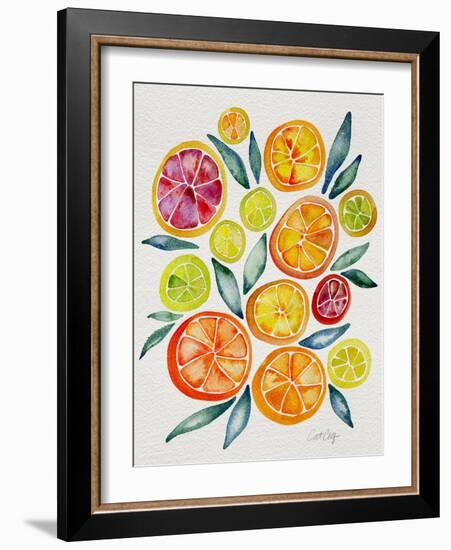 Citrus Slices-Cat Coquillette-Framed Giclee Print