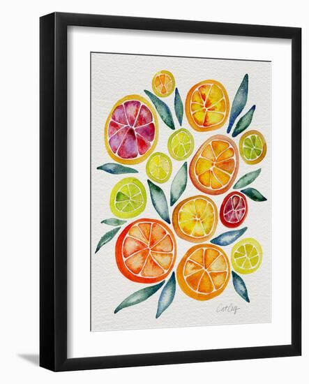 Citrus Slices-Cat Coquillette-Framed Giclee Print