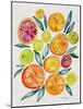 Citrus Slices-Cat Coquillette-Mounted Giclee Print