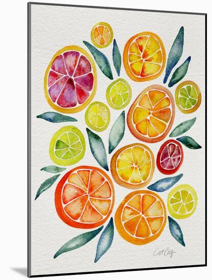 Citrus Slices-Cat Coquillette-Mounted Giclee Print