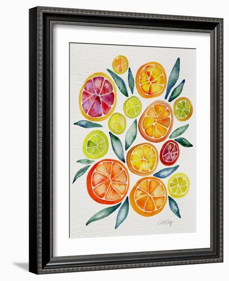 Citrus Slices-Cat Coquillette-Framed Giclee Print