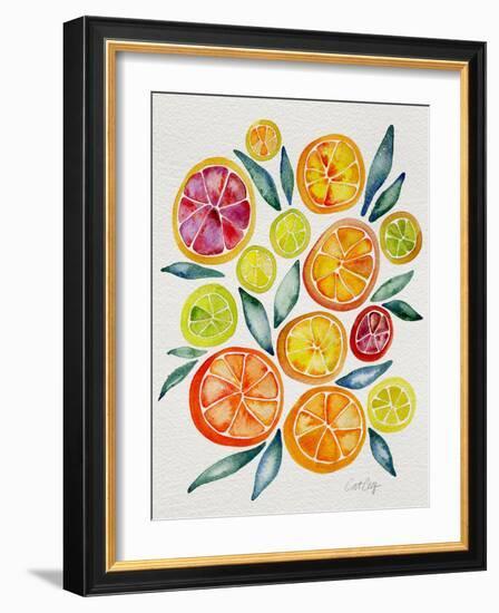 Citrus Slices-Cat Coquillette-Framed Giclee Print