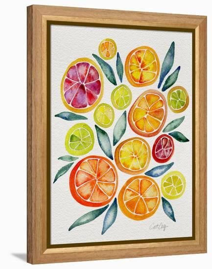 Citrus Slices-Cat Coquillette-Framed Premier Image Canvas