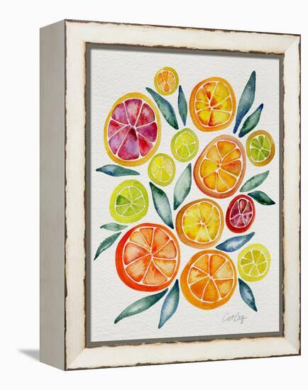 Citrus Slices-Cat Coquillette-Framed Premier Image Canvas