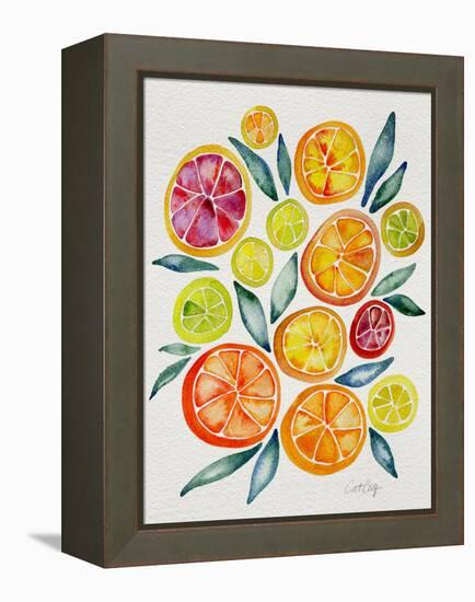 Citrus Slices-Cat Coquillette-Framed Premier Image Canvas