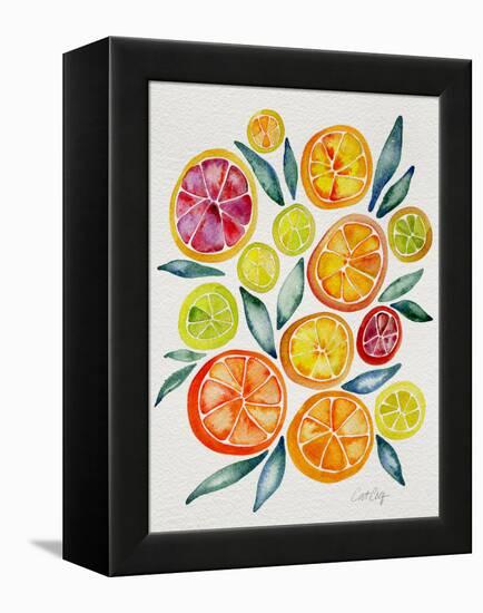 Citrus Slices-Cat Coquillette-Framed Premier Image Canvas