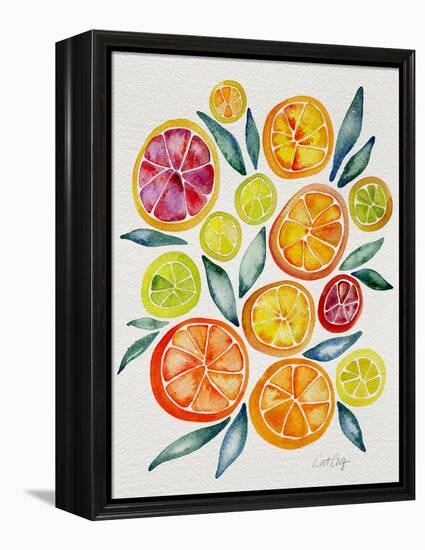 Citrus Slices-Cat Coquillette-Framed Premier Image Canvas