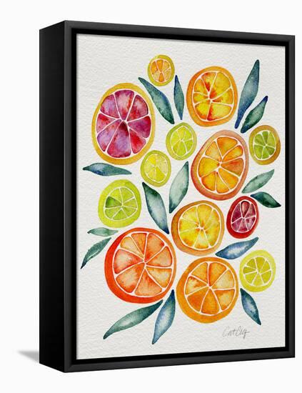 Citrus Slices-Cat Coquillette-Framed Premier Image Canvas