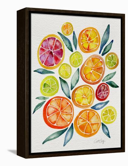 Citrus Slices-Cat Coquillette-Framed Premier Image Canvas