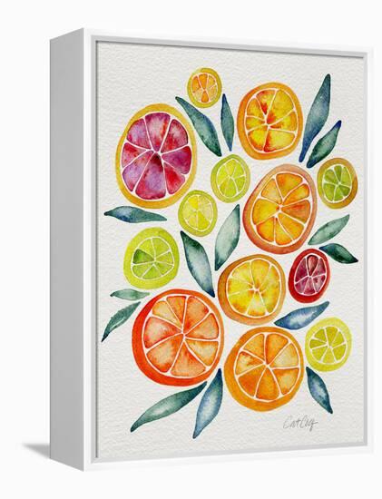 Citrus Slices-Cat Coquillette-Framed Premier Image Canvas