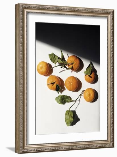 Citrus Still - Collection-Irene Suchocki-Framed Giclee Print