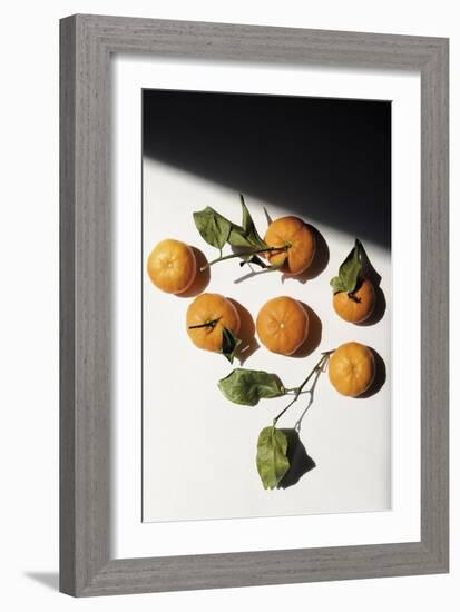 Citrus Still - Collection-Irene Suchocki-Framed Giclee Print