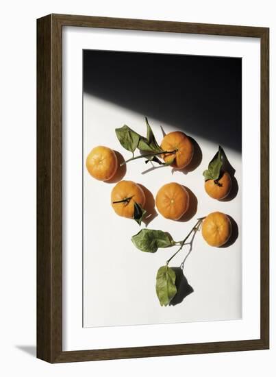 Citrus Still - Collection-Irene Suchocki-Framed Giclee Print