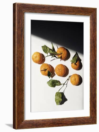 Citrus Still - Collection-Irene Suchocki-Framed Giclee Print