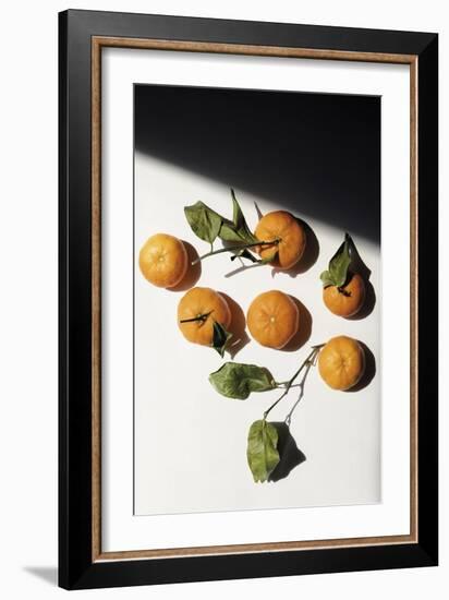 Citrus Still - Collection-Irene Suchocki-Framed Giclee Print