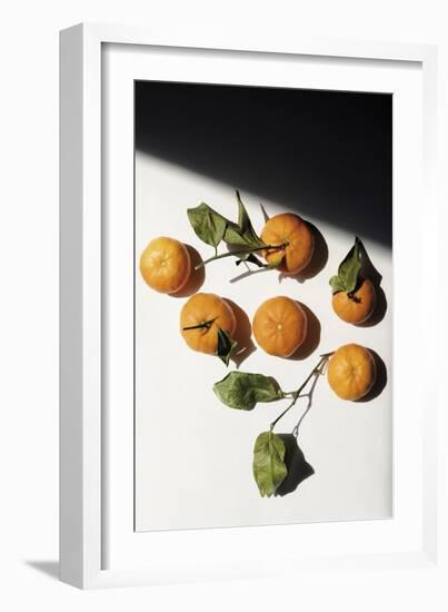 Citrus Still - Collection-Irene Suchocki-Framed Giclee Print