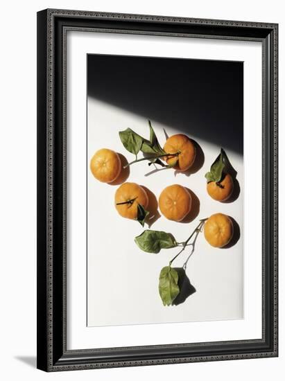 Citrus Still - Collection-Irene Suchocki-Framed Giclee Print