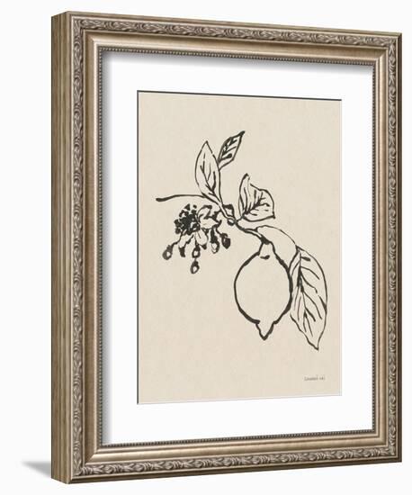 Citrus Summer III Crop-Danhui Nai-Framed Art Print