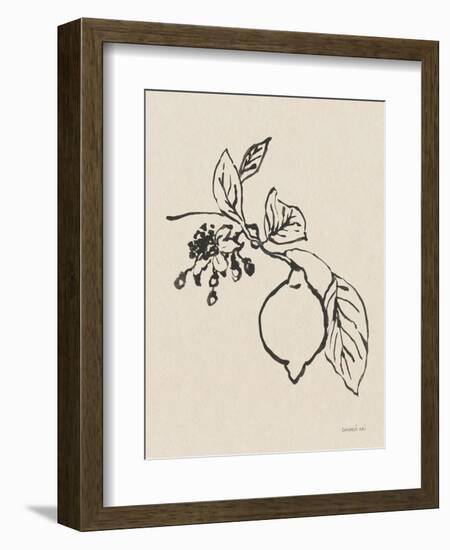 Citrus Summer III Crop-Danhui Nai-Framed Art Print