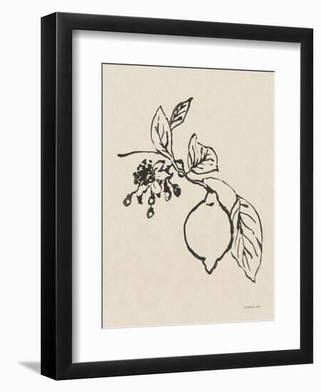 Citrus Summer III Crop-Danhui Nai-Framed Art Print