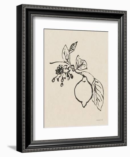 Citrus Summer III Crop-Danhui Nai-Framed Art Print