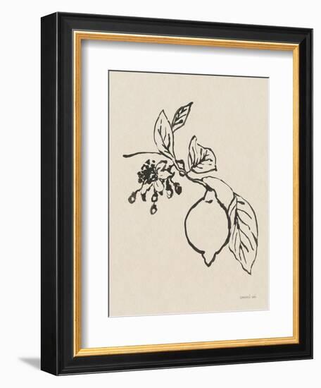 Citrus Summer III Crop-Danhui Nai-Framed Art Print