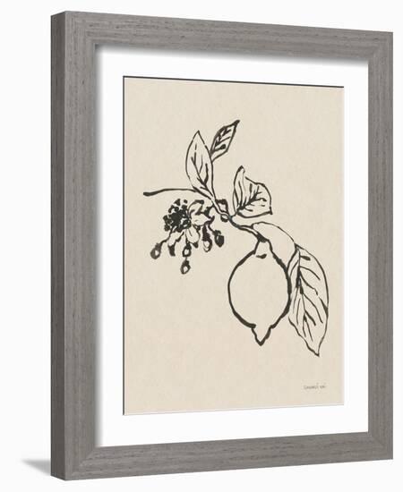 Citrus Summer III Crop-Danhui Nai-Framed Premium Giclee Print