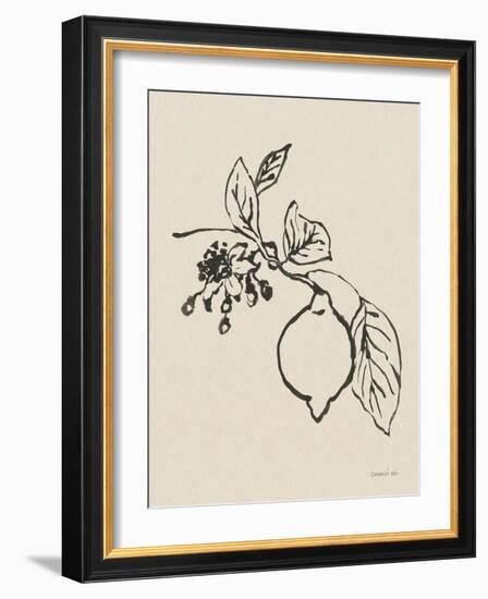 Citrus Summer III Crop-Danhui Nai-Framed Premium Giclee Print