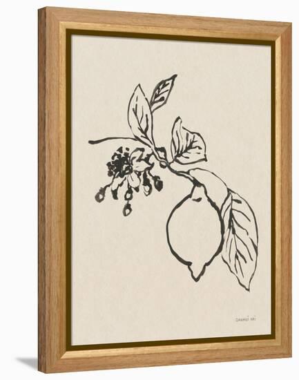 Citrus Summer III Crop-Danhui Nai-Framed Stretched Canvas