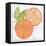 Citrus Tile V-Elyse DeNeige-Framed Stretched Canvas