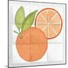 Citrus Tile V-Elyse DeNeige-Mounted Art Print