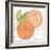 Citrus Tile V-Elyse DeNeige-Framed Art Print