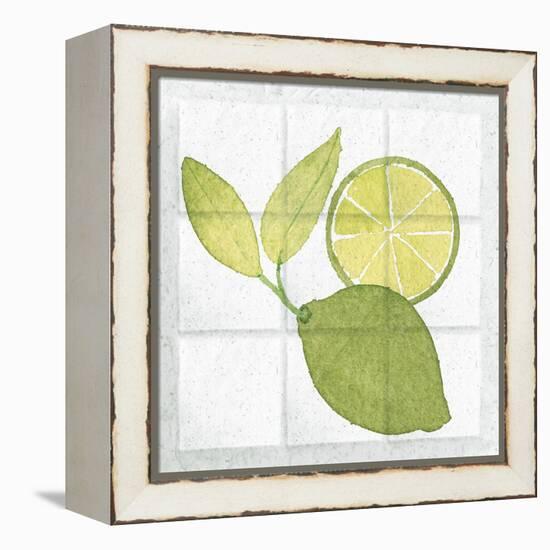 Citrus Tile VII-Elyse DeNeige-Framed Stretched Canvas