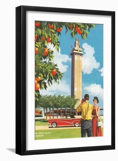 Citrus Tower, Clermont, Florida-null-Framed Art Print