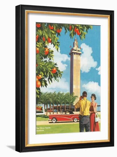 Citrus Tower, Clermont, Florida-null-Framed Art Print