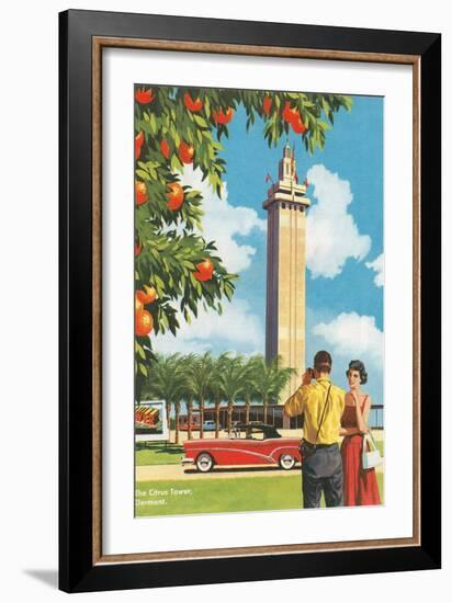 Citrus Tower, Clermont, Florida-null-Framed Premium Giclee Print