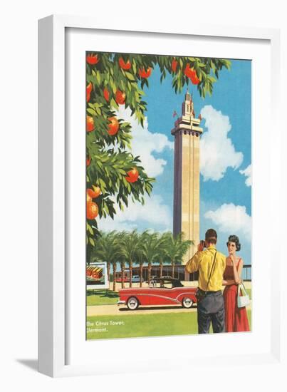 Citrus Tower, Clermont, Florida-null-Framed Premium Giclee Print