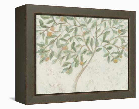 Citrus Tree Fresco I-June Vess-Framed Stretched Canvas