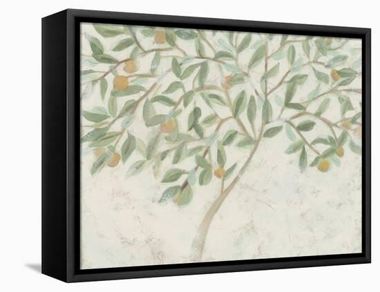 Citrus Tree Fresco I-June Vess-Framed Stretched Canvas
