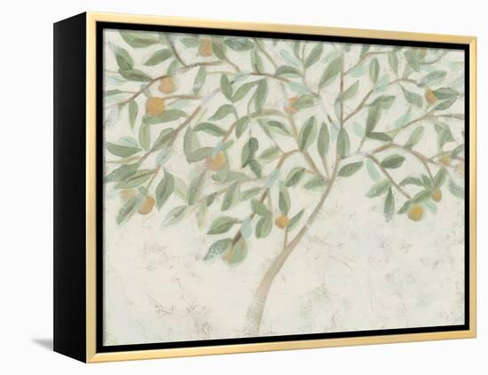 Citrus Tree Fresco I-June Vess-Framed Stretched Canvas