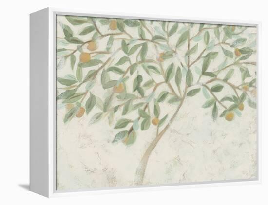 Citrus Tree Fresco I-June Vess-Framed Stretched Canvas