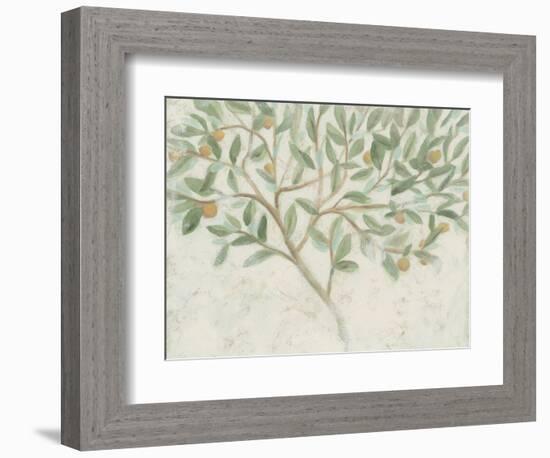 Citrus Tree Fresco II-June Vess-Framed Premium Giclee Print