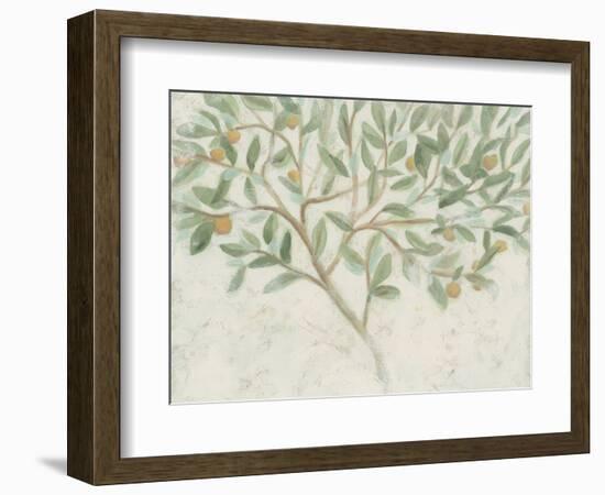 Citrus Tree Fresco II-June Vess-Framed Premium Giclee Print