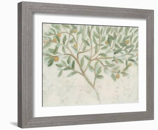 Citrus Tree Fresco II-June Vess-Framed Art Print