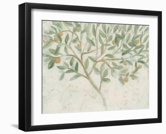 Citrus Tree Fresco II-June Vess-Framed Art Print