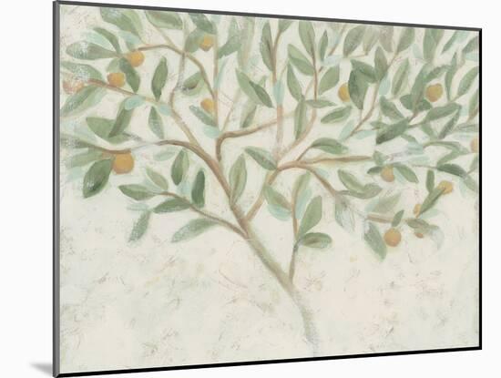 Citrus Tree Fresco II-June Vess-Mounted Art Print