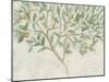 Citrus Tree Fresco II-June Vess-Mounted Art Print