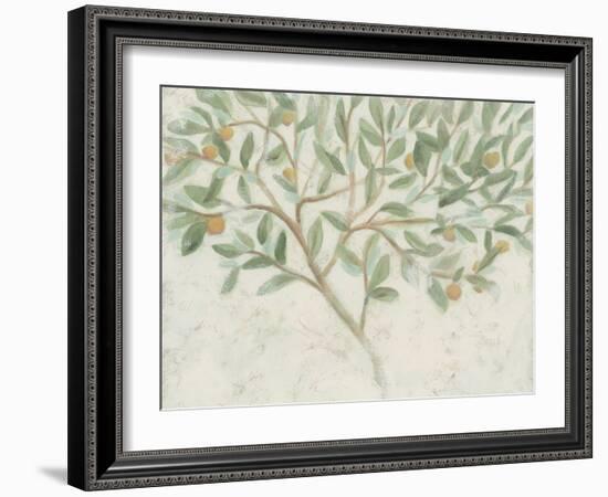 Citrus Tree Fresco II-June Vess-Framed Art Print